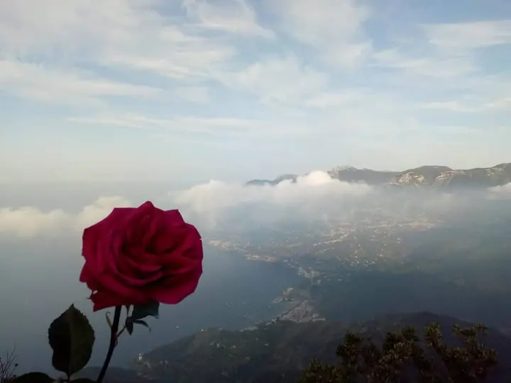 #angeliaravello #ig_ravello #pink #ig_amalficoast #wonderful_places #enchanting #view #amazingplaces