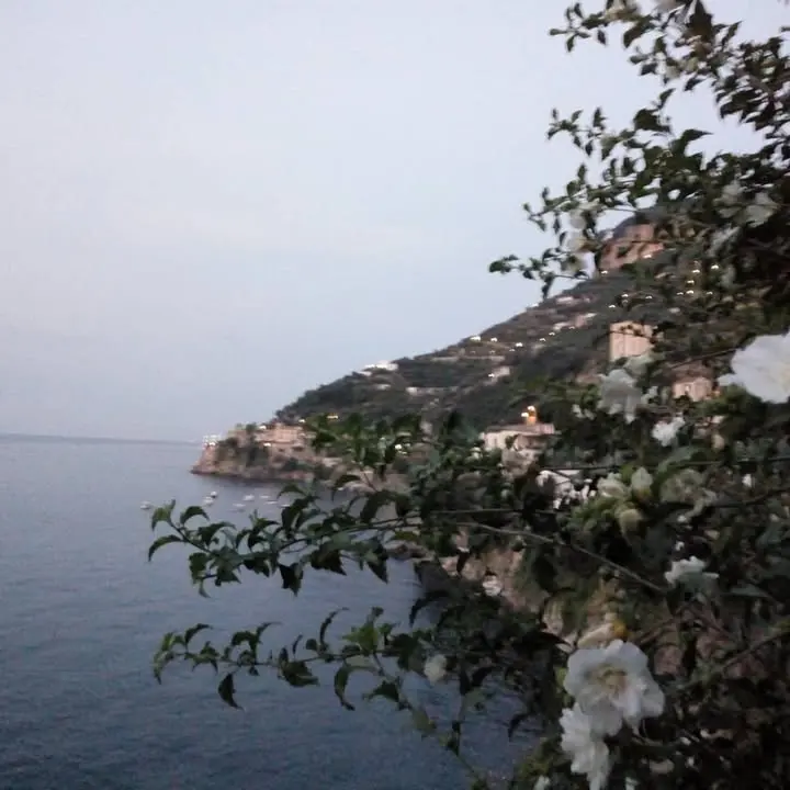 #angeliaravello #ig_ravello #ig_world #ig_italy #lusso #natura #ig_nature #fiori#panorama #best_amal