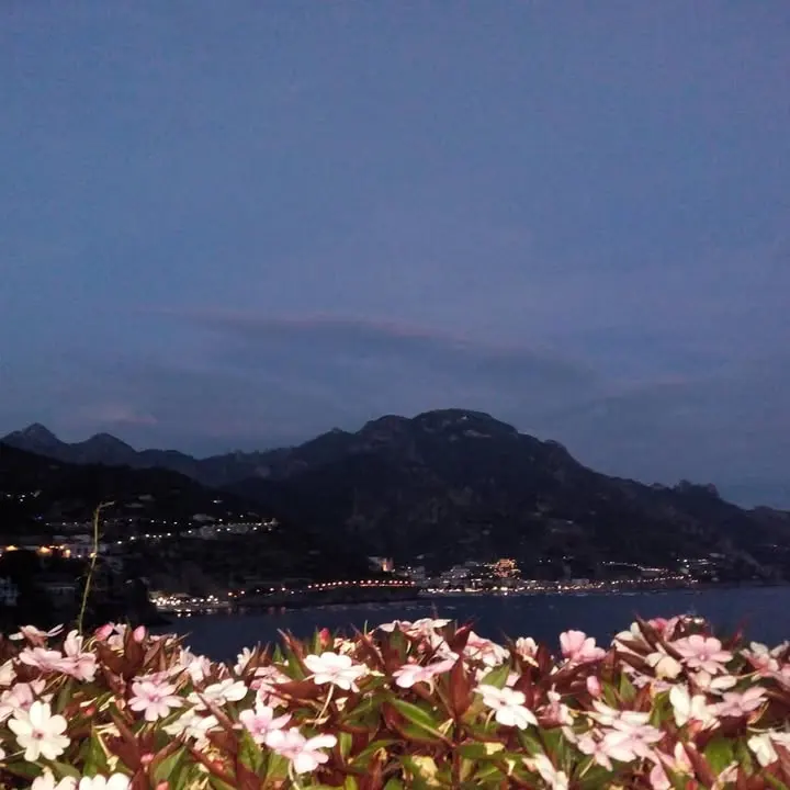 #ig_ravello #angeliaravello #ig_amalficoast #fiori #colorinaturali